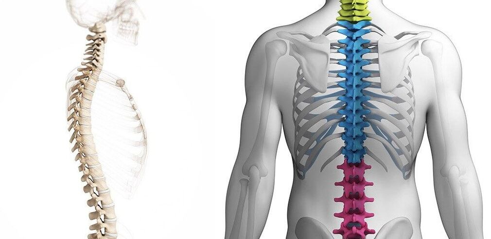 lesão da coluna torácica com osteocondrose